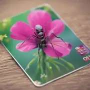 蚂蚁花呗是否可以提现到银行卡中去吗？