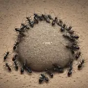 蚂蚁基金的规模是多少?